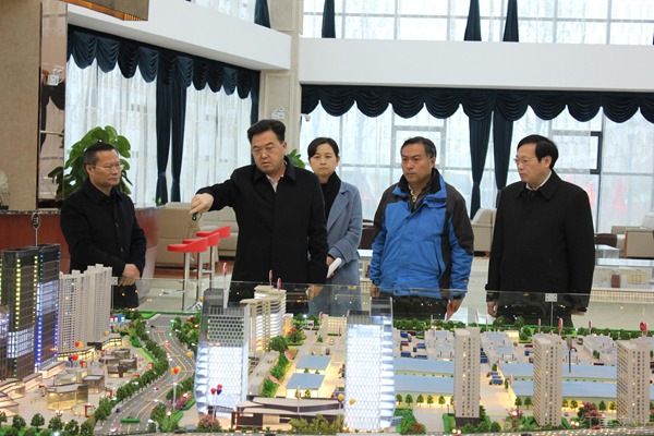 胡忠雄市长调研红星全球农批中心20190115