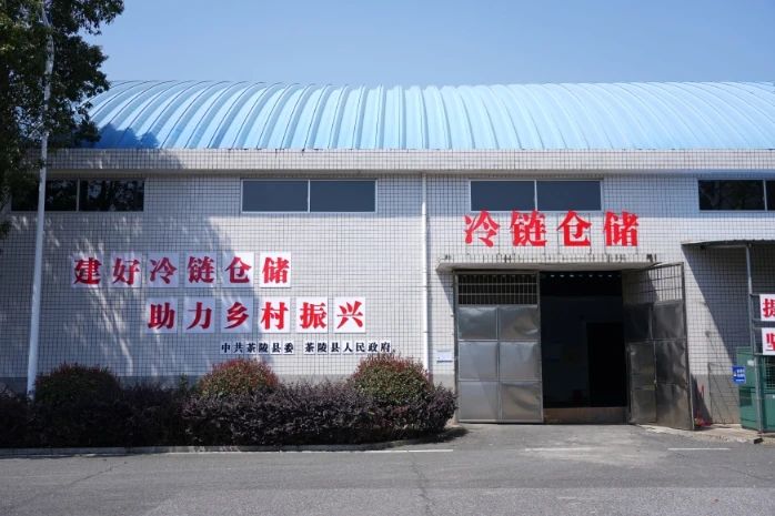 努力将茶油产业做强做大6.jpg